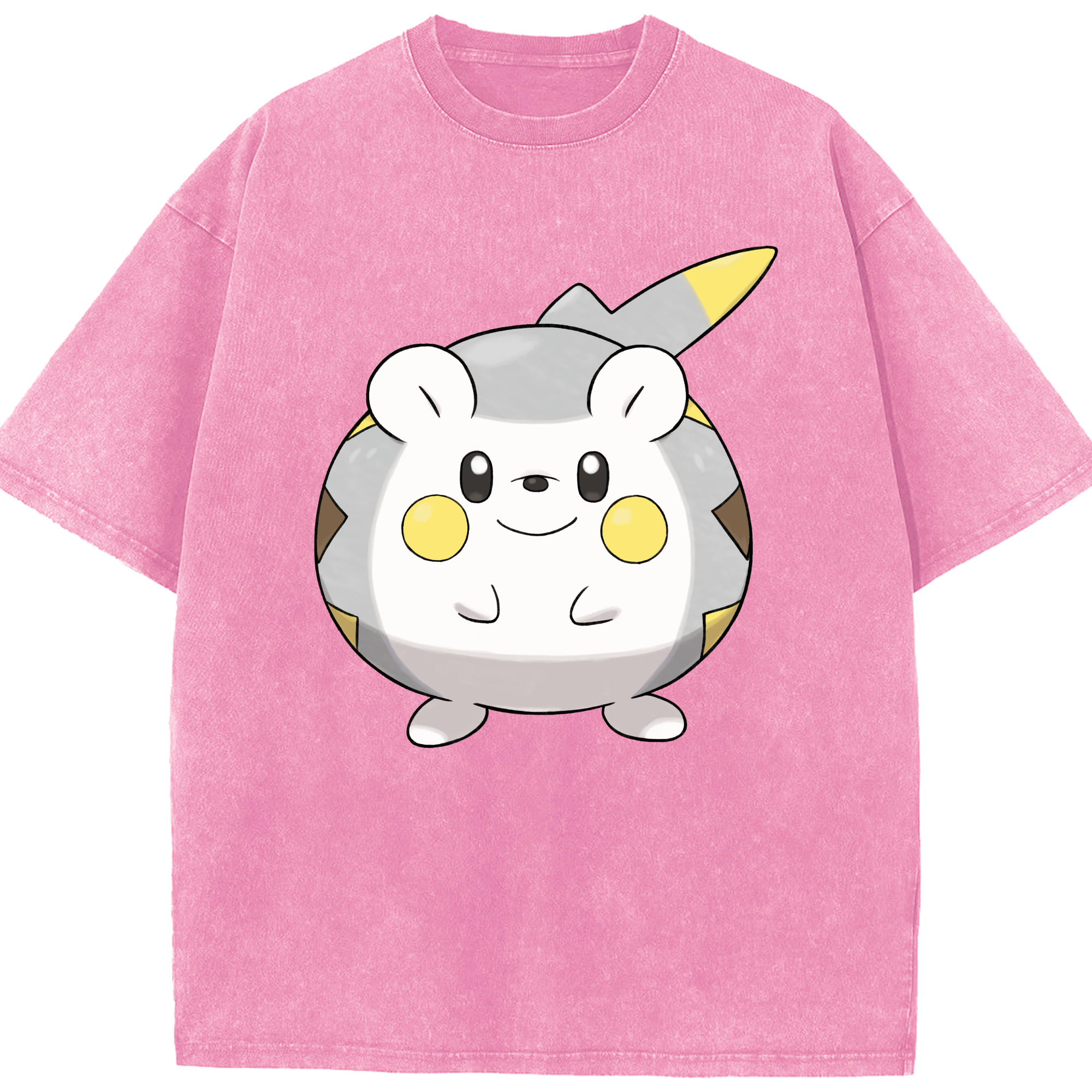 （画像用） ポケットモンスター Pokémon 綿100% ヴィンテージ風 半袖Tシャツ（フロントプリント）